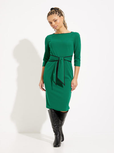 Joseph Ribkoff - Contrast Trim 3/4 Sleeve Dress In Green 221210TT-Nicola Ross