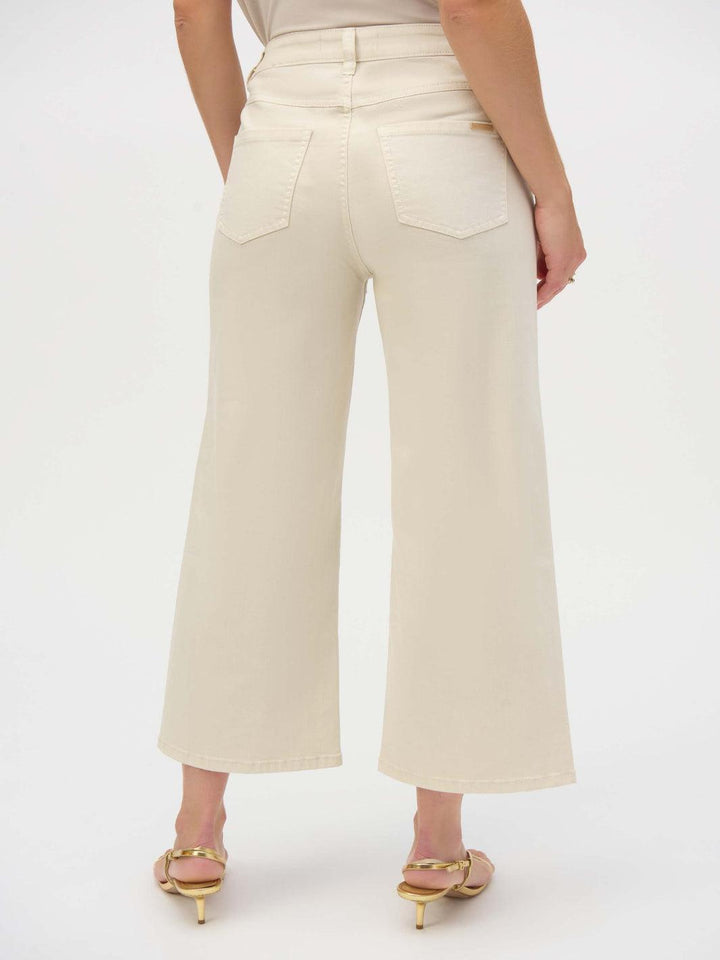 Joseph Ribkoff Mid-rise Wide-leg Trousers In Greige 252914-Nicola Ross