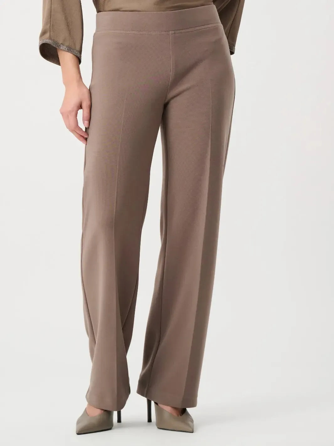 Joseph Ribkoff Pleated Straight Leg Pants In Mink 153088F26-Nicola Ross